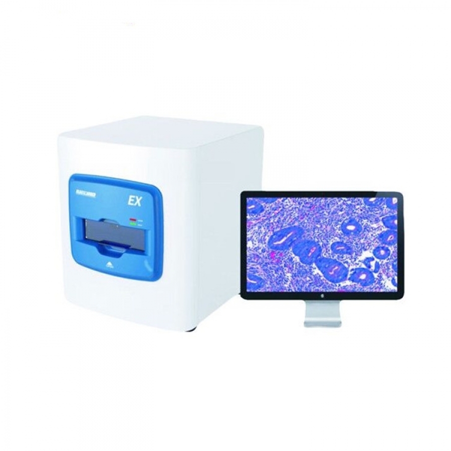 Digital Pathology High Resolution Laboratory Histology Pathological